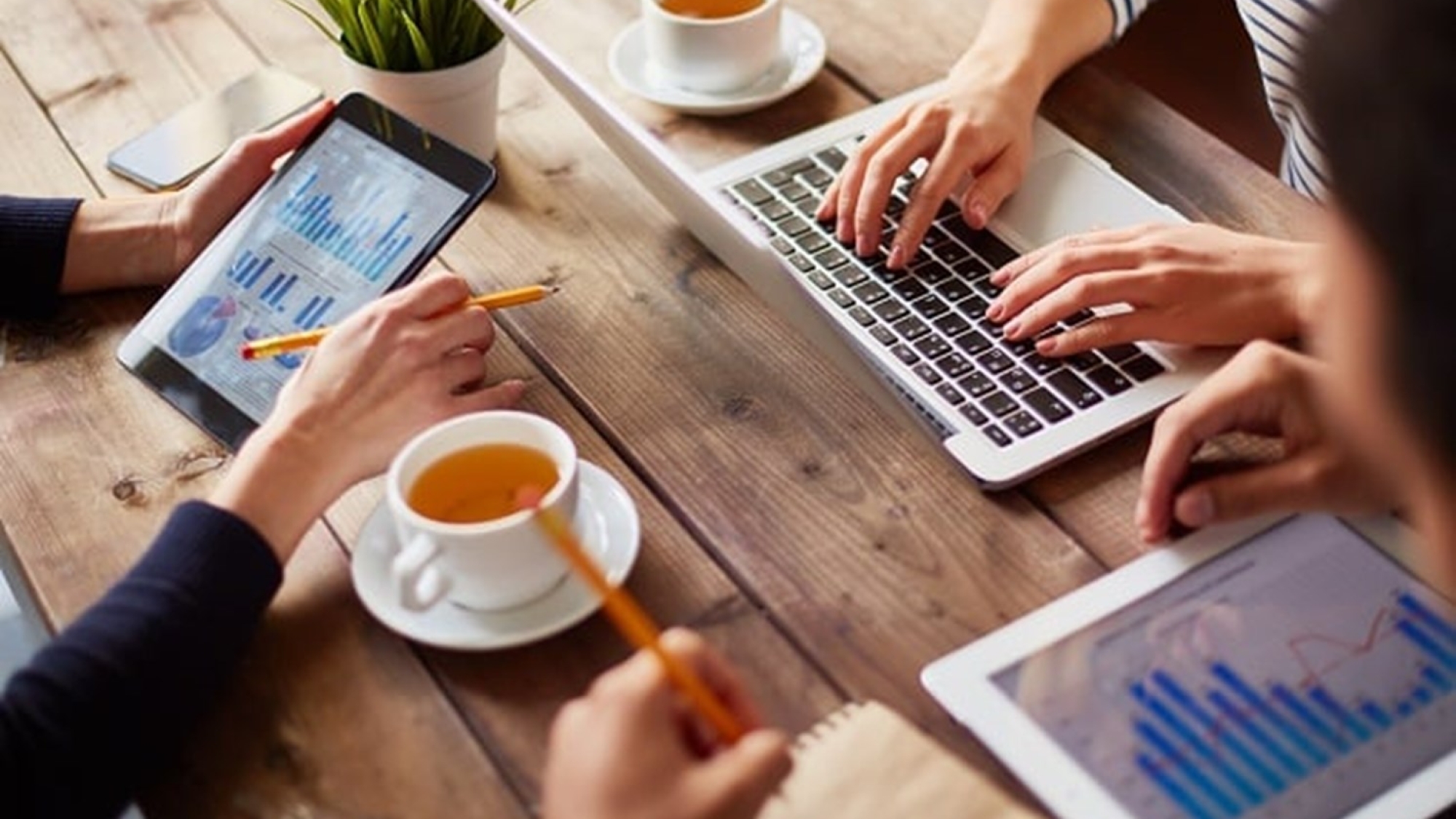 software_competências